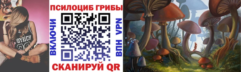 Псилоцибиновые грибы мухоморы  купить  сайты  Ивдель 
